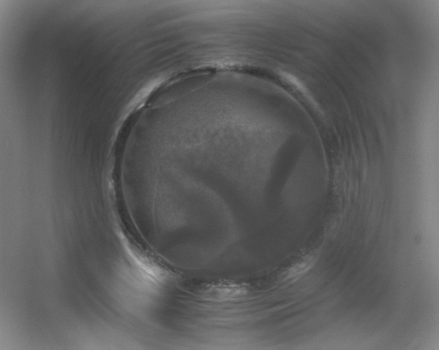 X0000055510443200508121021