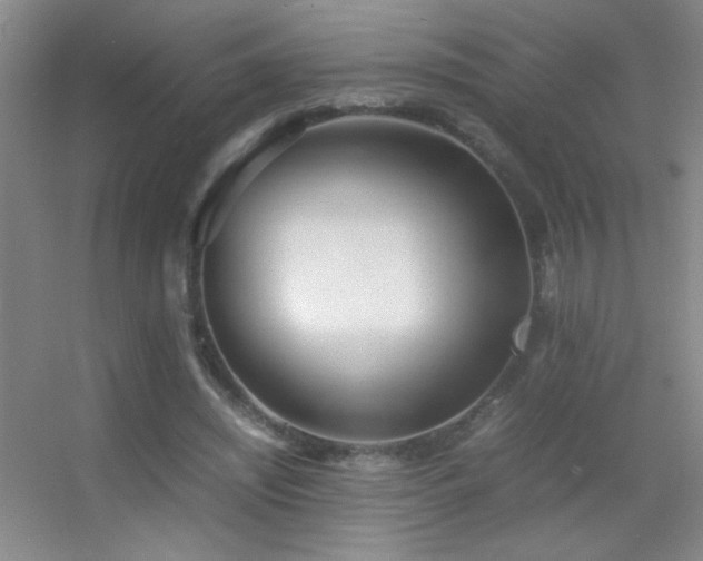 X0000055510444200508121021
