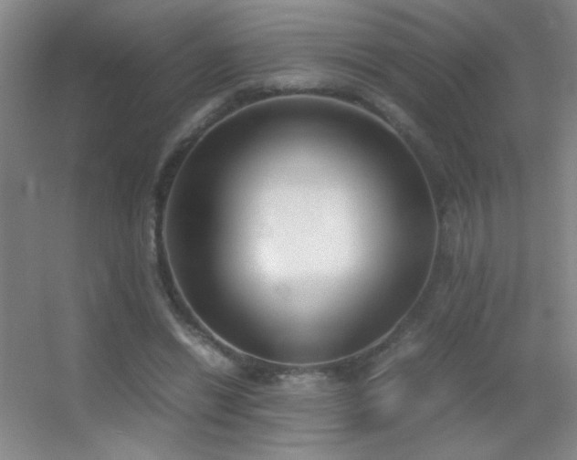 X0000055510446200508121021