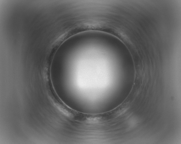 X0000055510450200508121021