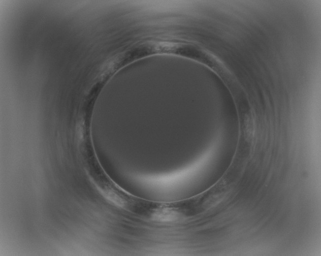 X0000055510451200508121021