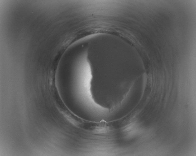 X0000055510458200508121021