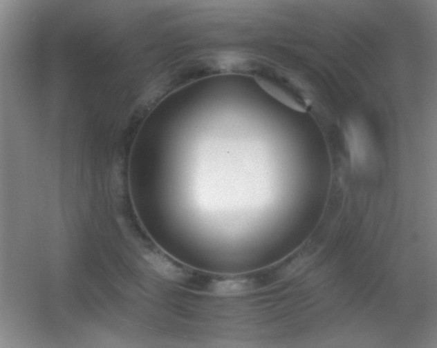 X0000055510461200508121021