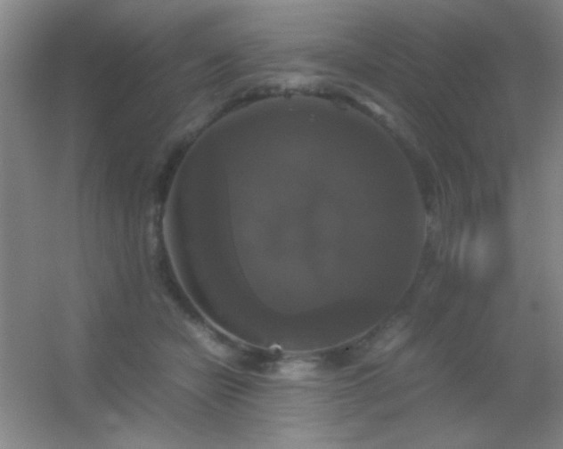 X0000055510462200508121021
