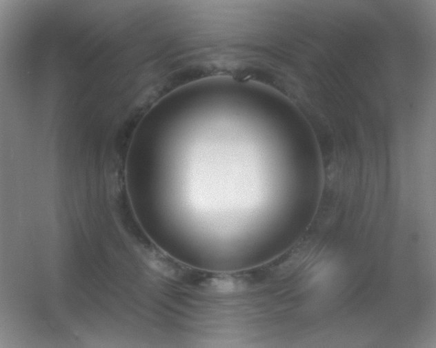 X0000055510464200508121021