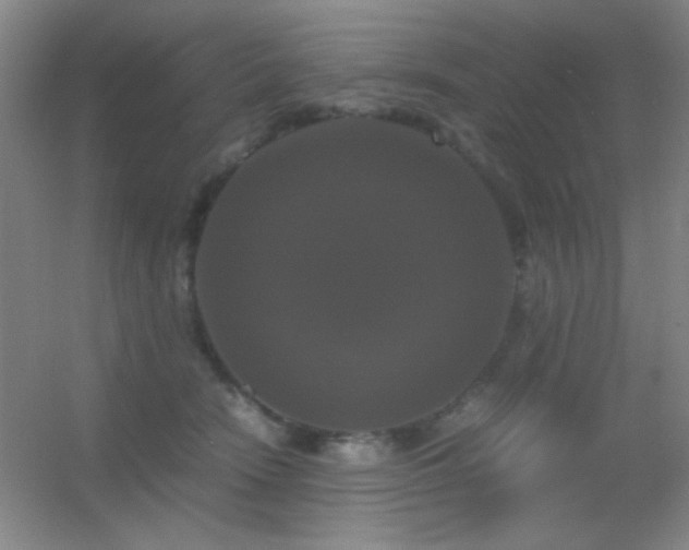 X0000055510466200508121022