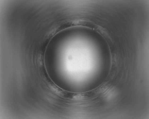 X0000055510470200508121022
