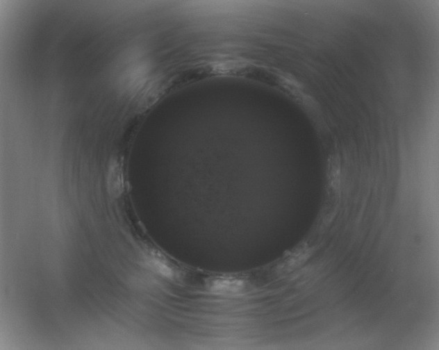 X0000055510471200508121022