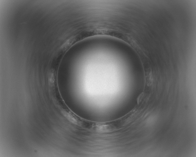 X0000055510472200508121022