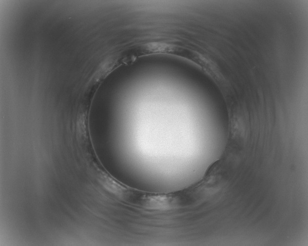 X0000055510473200508121022