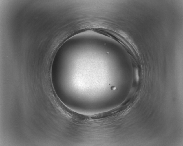 X0000055510481200508121021