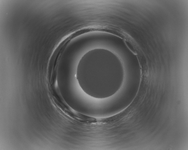 X0000055510484200508121021