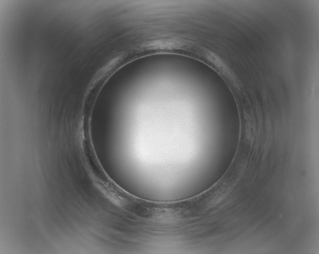 X0000055510486200508121021