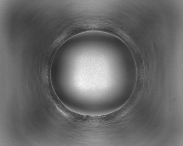 X0000055510489200508121021