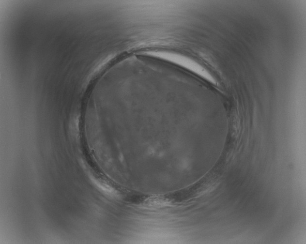 X0000055510491200508121021
