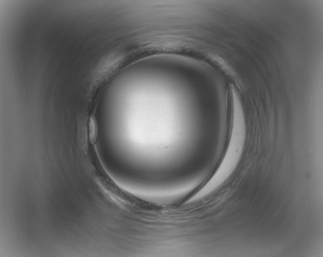 X0000055510493200508121021