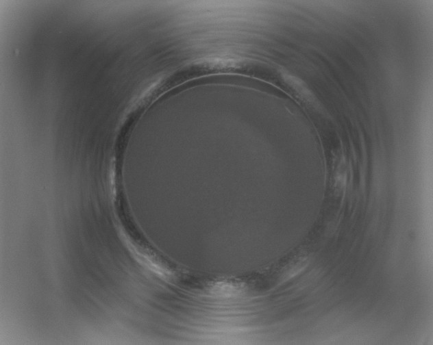 X0000055510494200508121021