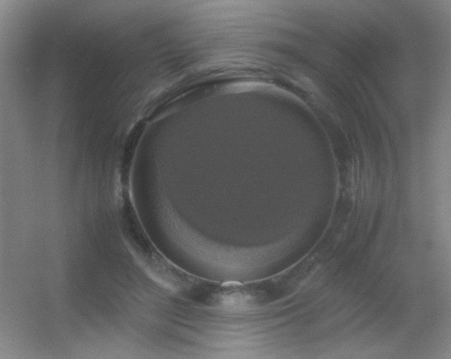X0000055510500200508121021