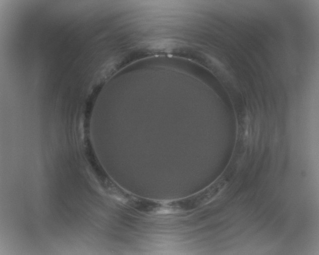 X0000055510504200508121021