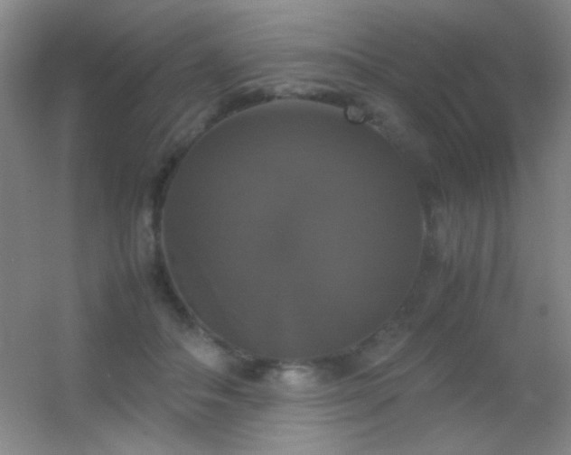 X0000055510506200508121021