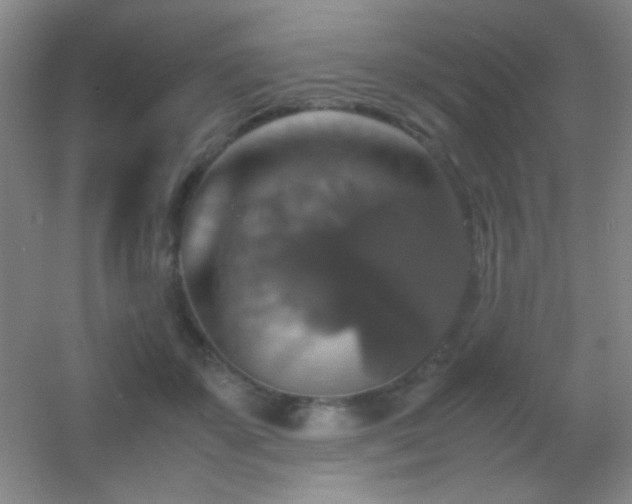 X0000055510507200508121020