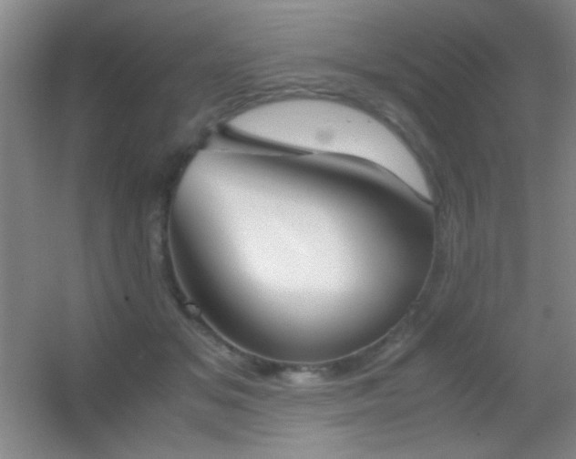 X0000055510509200508121020