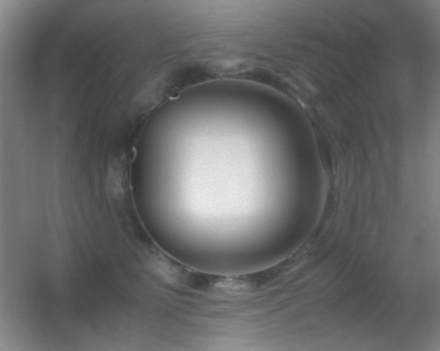 X0000055510515200508121020