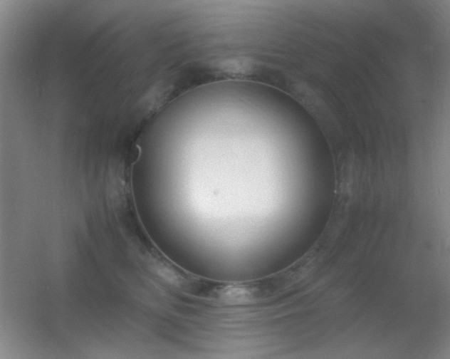X0000055510518200508121020