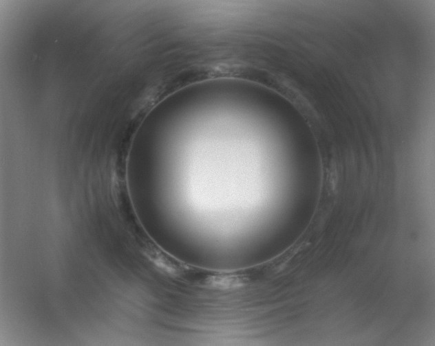 X0000055510520200508121020