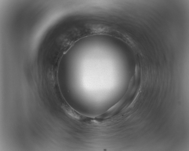 X0000055510524200508121020