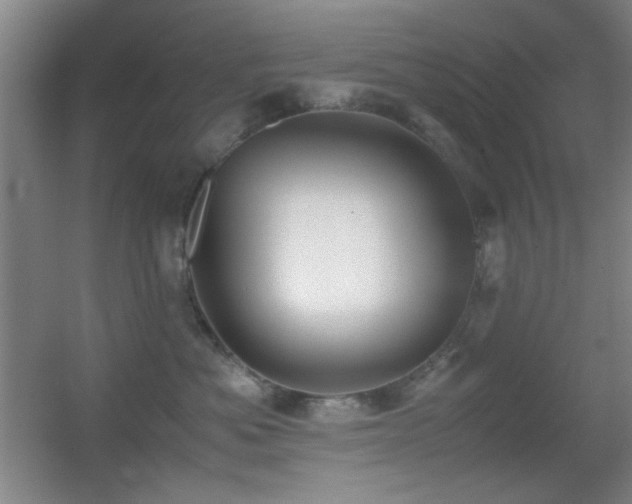 X0000055510525200508121020