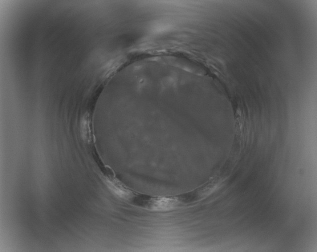 X0000055510527200508121020