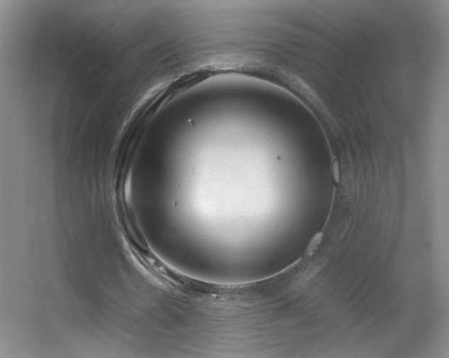 X0000055510530200508121019