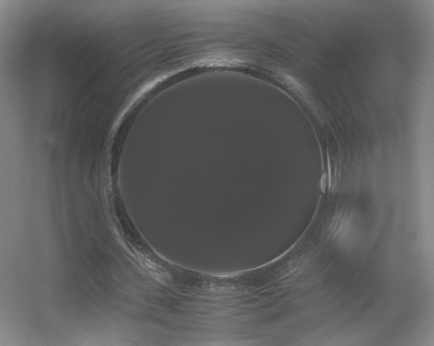 X0000055510531200508121019