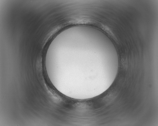 X0000055510534200508121019