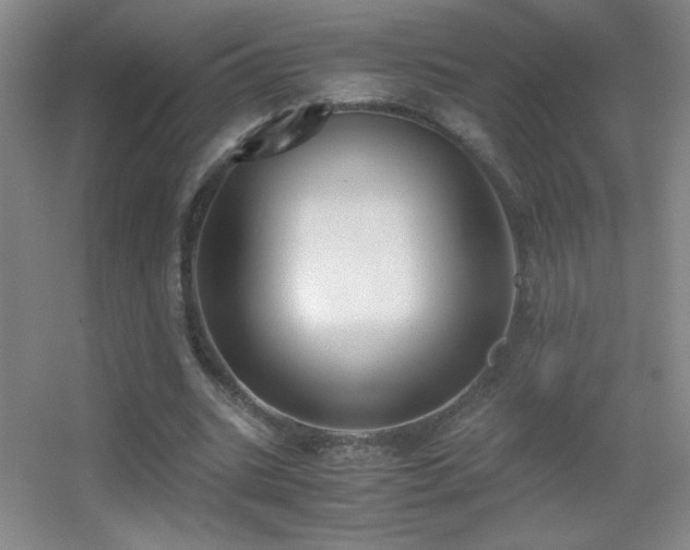 X0000055510535200508121019