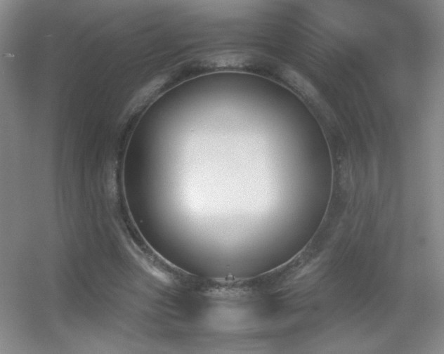 X0000055510537200508121019