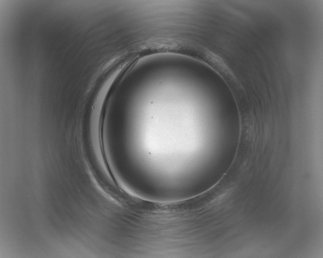 X0000055510538200508121019