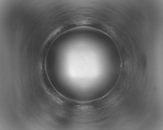 X0000055510539200508121019