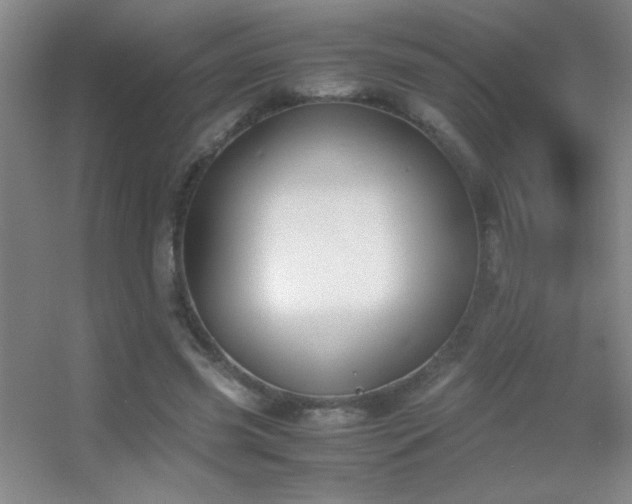 X0000055510541200508121020