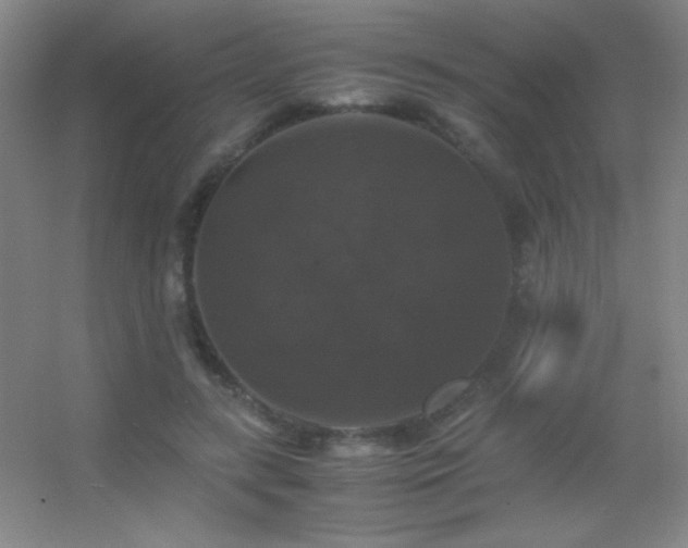 X0000055510547200508121020