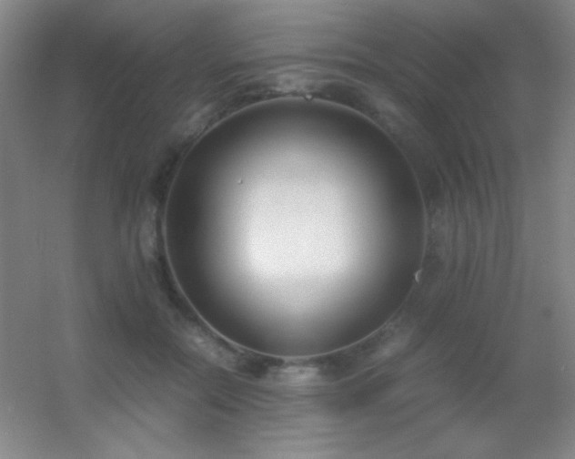 X0000055510554200508121020
