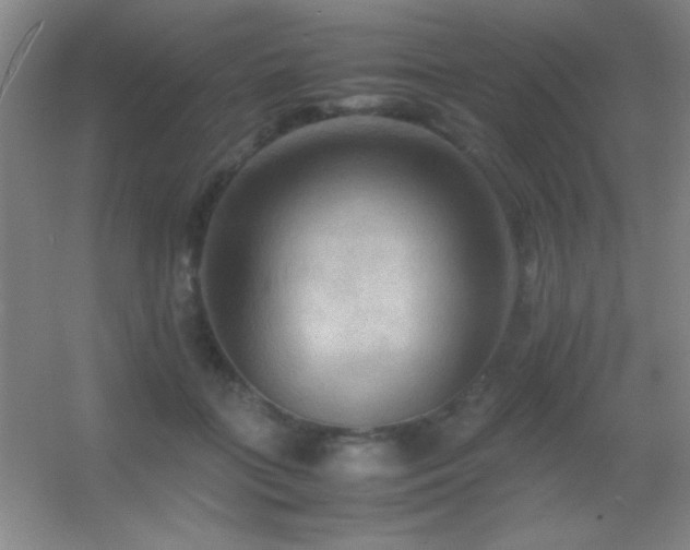 X0000055510555200508121020