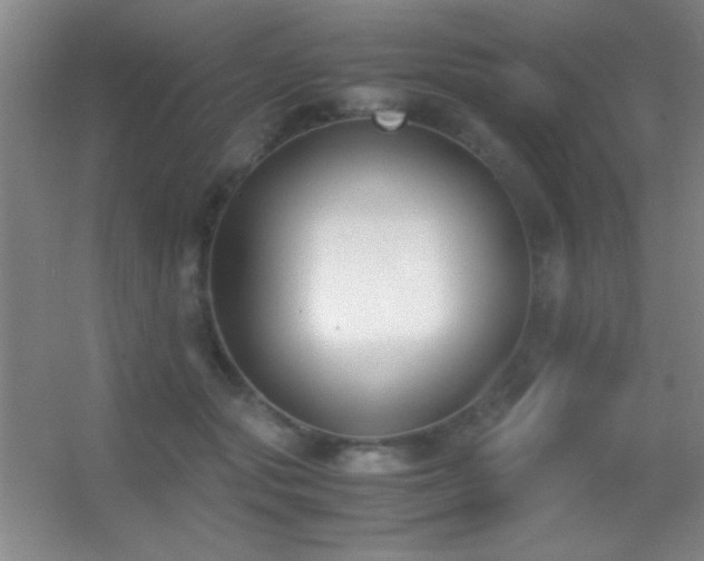 X0000055510557200508121020