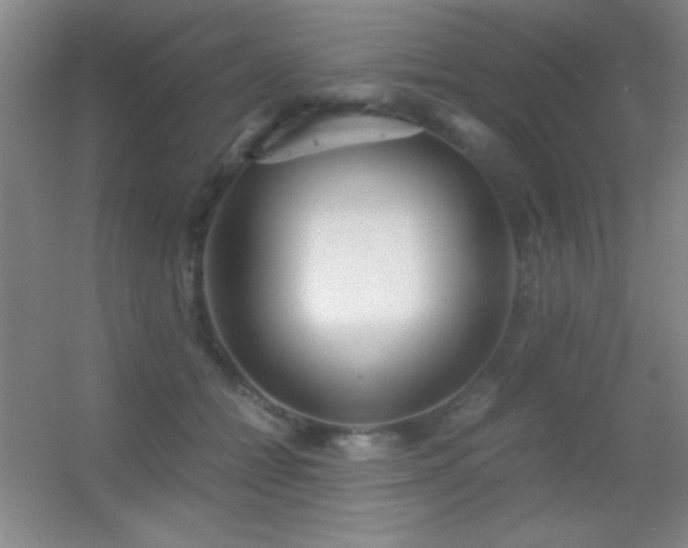 X0000055510558200508121020