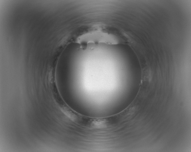 X0000055510560200508121020