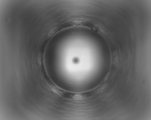 X0000055510562200508121020