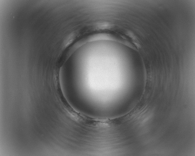 X0000055510572200508121020