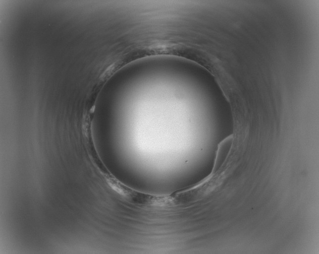X0000055510576200508121020