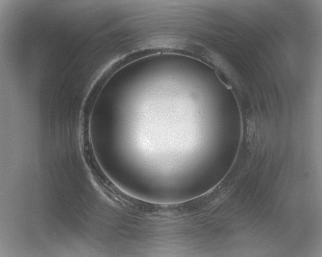 X0000055510580200508121019